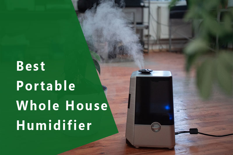 Best Portable Whole House Humidifier